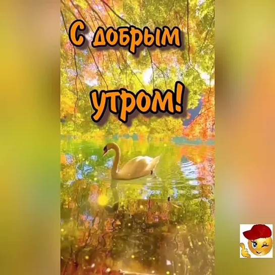 Доброе утро✨✨✨