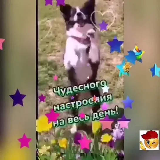 Доброе утро✨✨✨