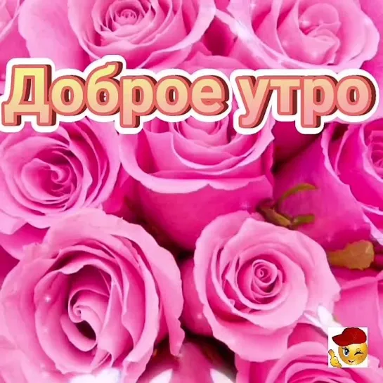 Доброе утро✨✨✨