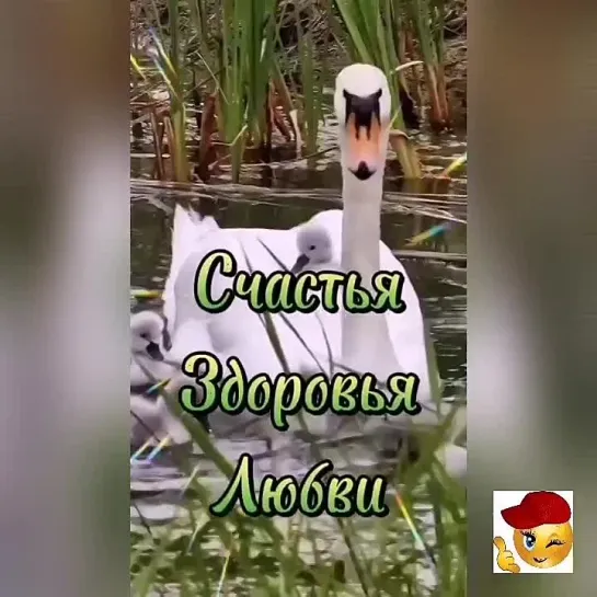 Доброе утро✨✨✨