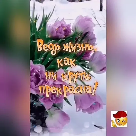 Доброе утро✨✨✨