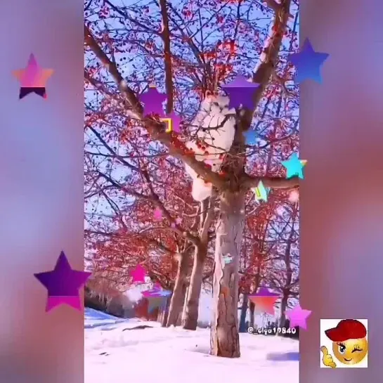 Доброе утро✨✨✨