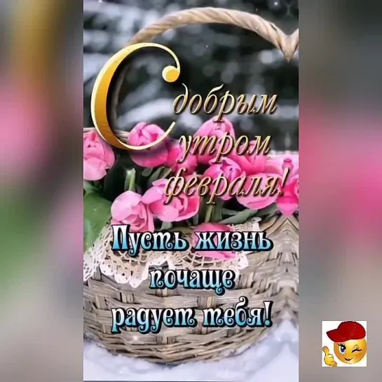 Доброе утро✨✨✨