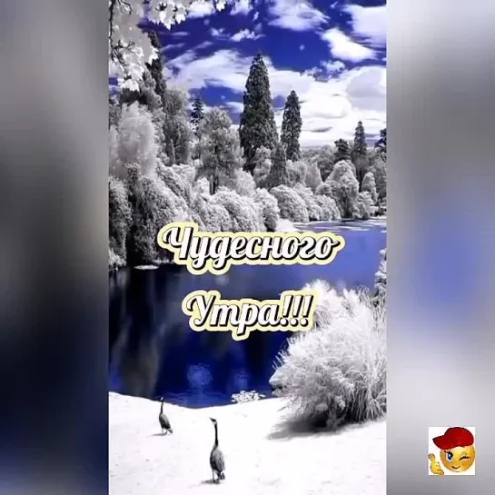 Доброе утро✨✨✨