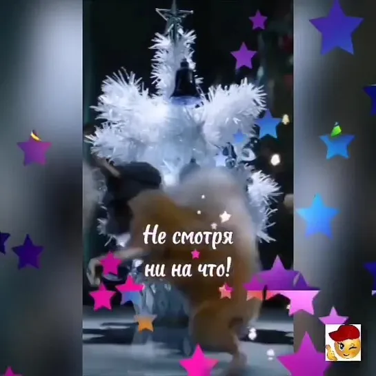 Доброе утро✨✨✨