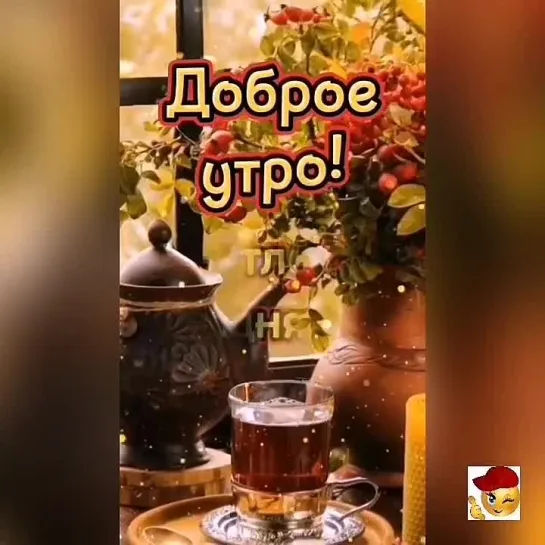 Доброе утро🌺