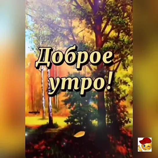 Доброе утро✨✨✨