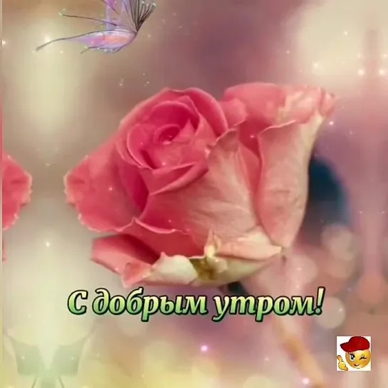 Доброе утро✨✨✨