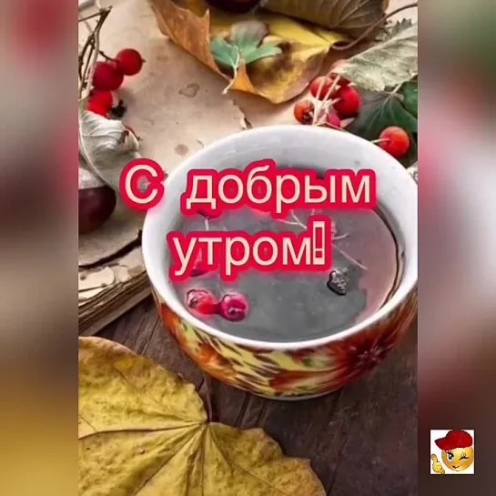 Доброе утро✨✨✨