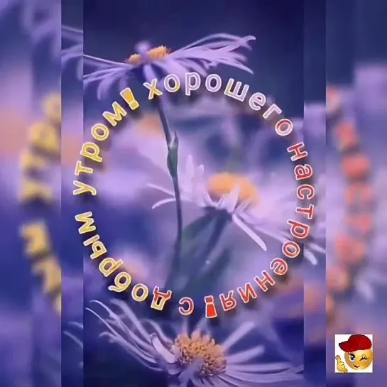 Доброе утро✨✨✨