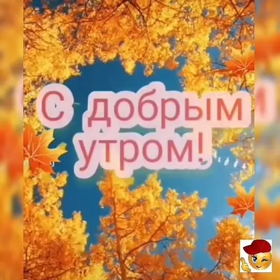 Доброе утро✨✨✨