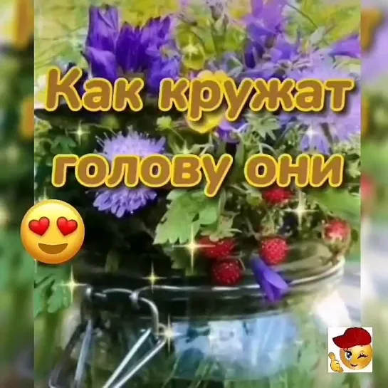 Доброе утро✨✨✨