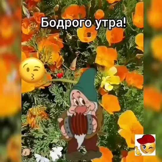 Бодрого воскресного утра🤩