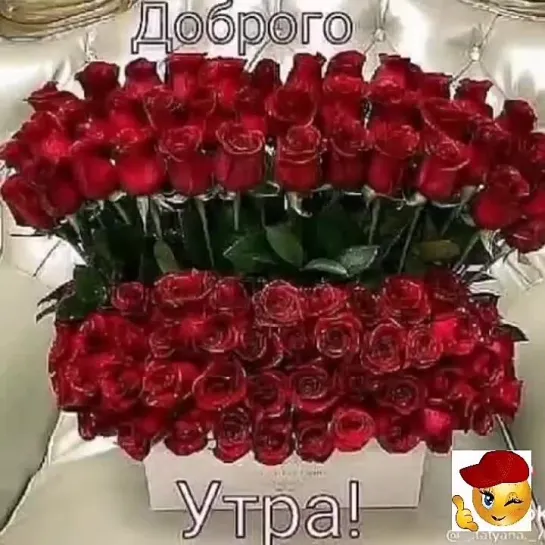 Доброе утро✨✨✨