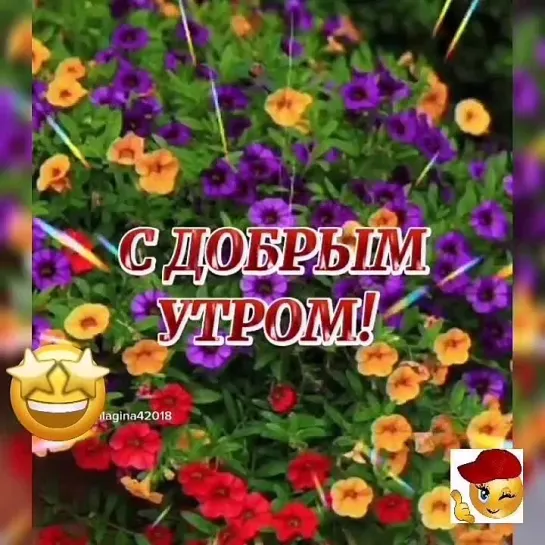 Доброе утро✨✨✨