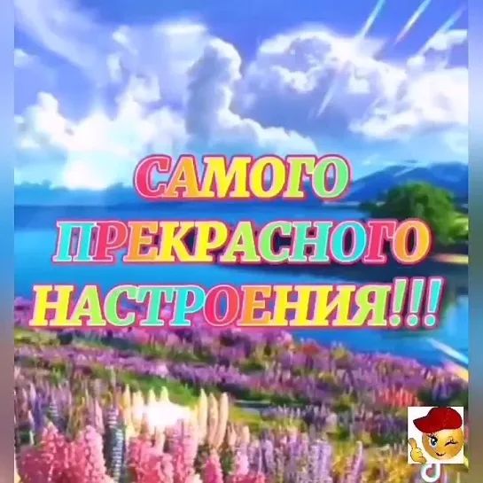 Доброе утро✨✨✨