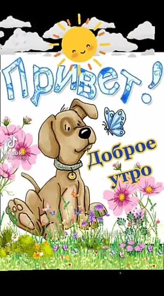 Доброе утро ✨✨✨