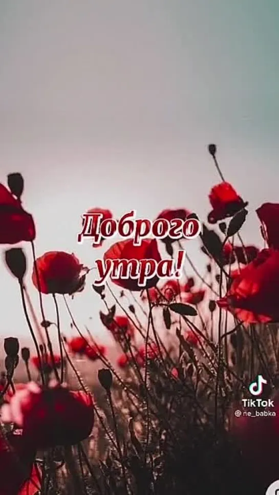 Доброе утро✨✨✨