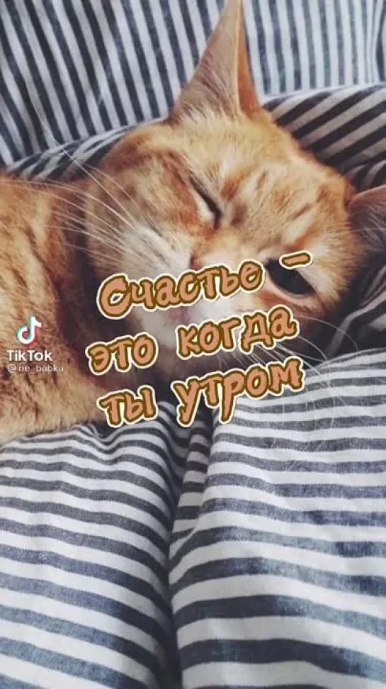 Доброе утро✨✨✨