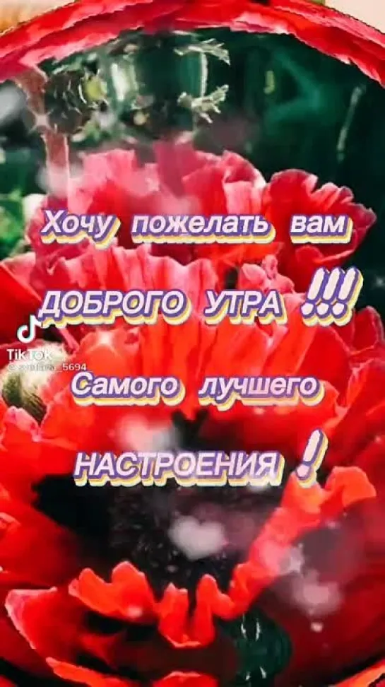 Доброе утро✨✨✨