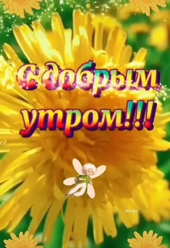 Доброе утро✨✨✨