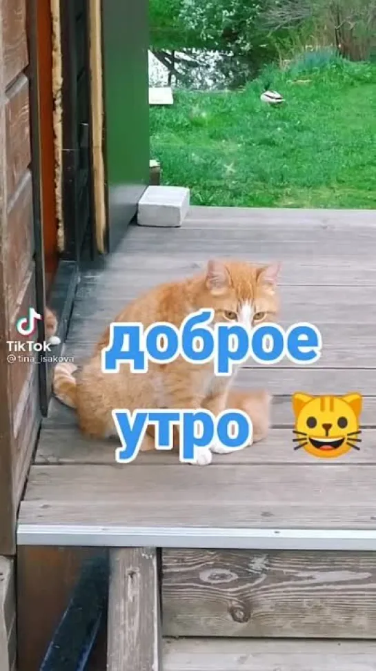 Доброе утро✨✨✨