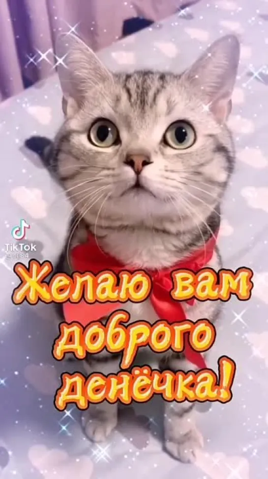 Добрейшего денёчка😻