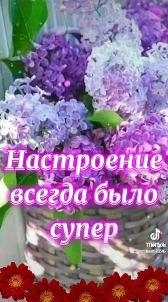 Доброе утро ✨✨✨