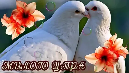 Доброе утро ✨✨✨