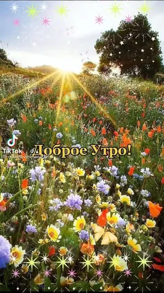 Доброе утро ✨✨✨