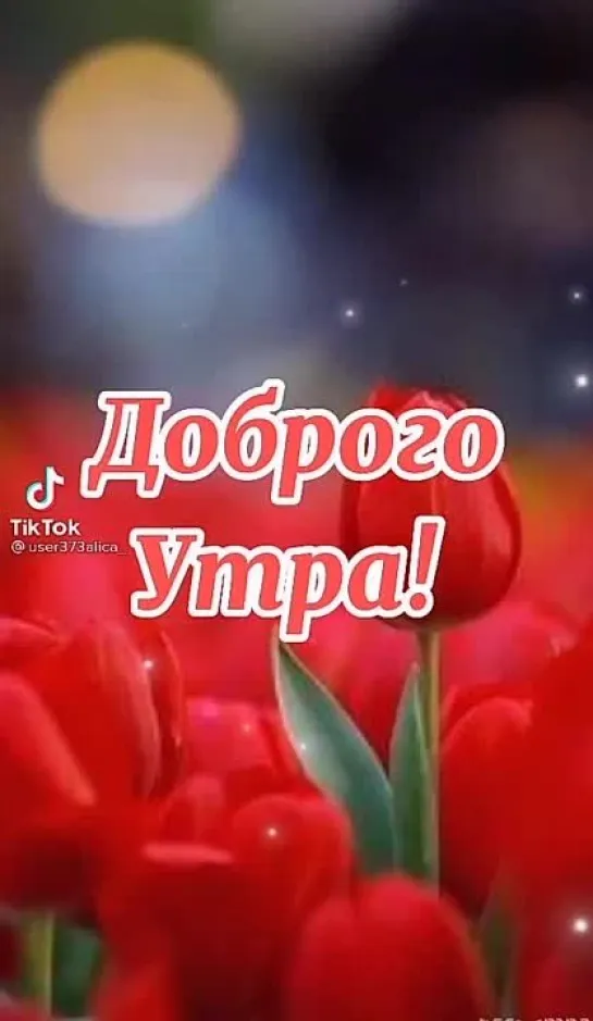 Доброе утро ✨✨✨