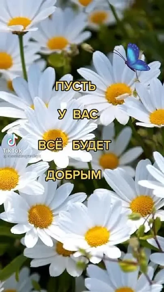 Доброе утро ✨✨✨✨✨