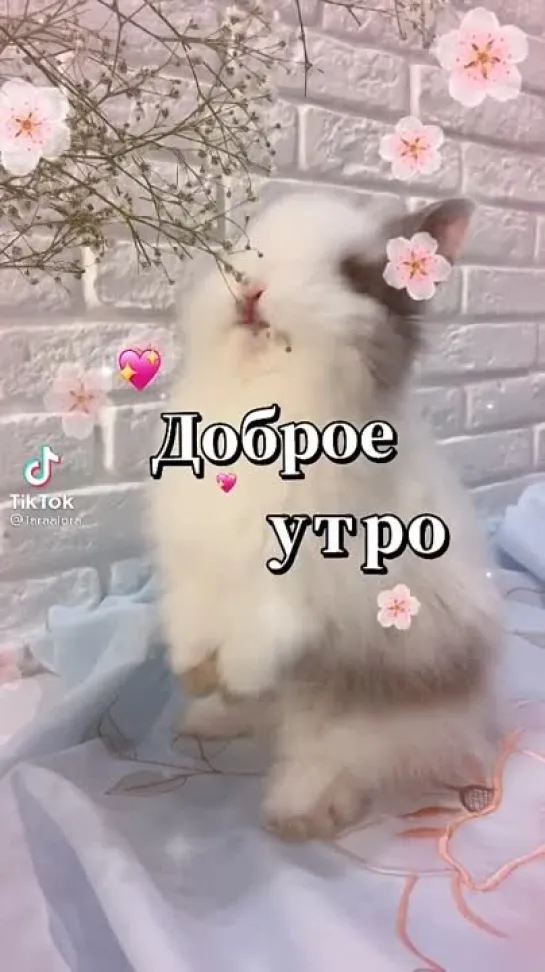 Доброе утро ✨✨✨