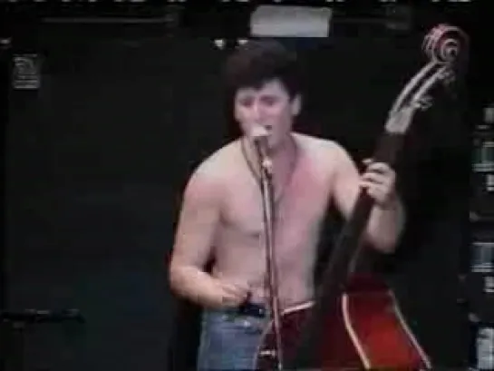 STRAY CATS " I Fought The Law " ( Live )