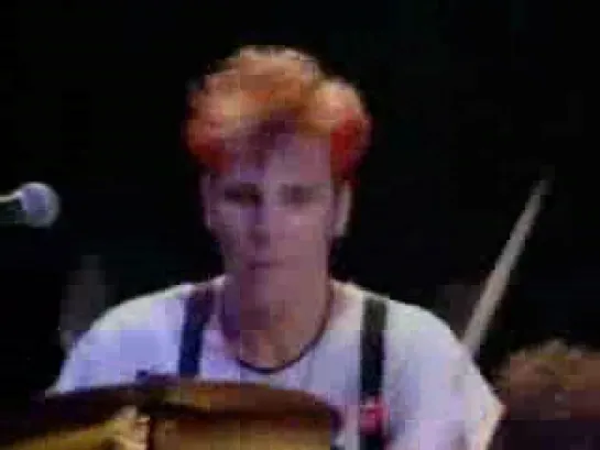 STRAY CATS " Summertime Blues " ( Live In Tokyo )