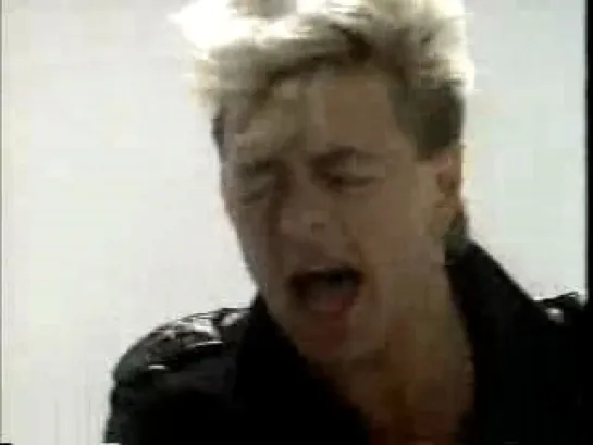 STRAY CATS " Bring It Back Again "