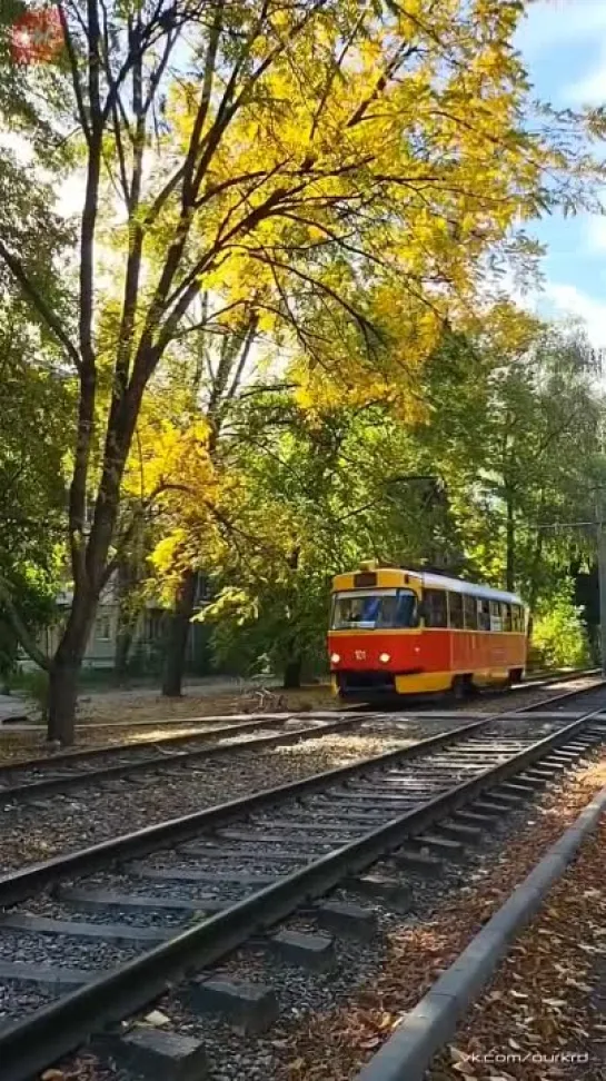 Видео от Интересный Краснодар