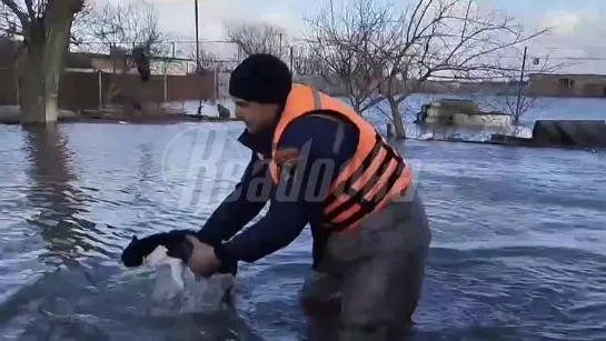 Видео от Александра Сухомлинова