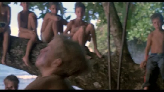 Повелитель мух [Lord Of The Flies]; Гарри Хук, США 1990