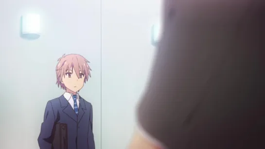 Кошечка из Сакурасо #08/24 (Zendos & Eladiel) Sakurasou no Pet na Kanojo