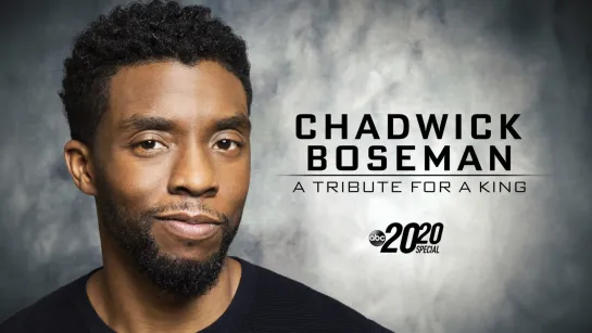 Chadwick Boseman: A Tribute For A King