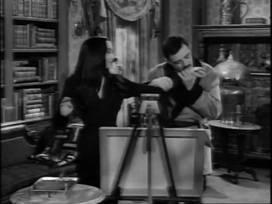 The Addams Family: [s01e14] Art and the Addams Family