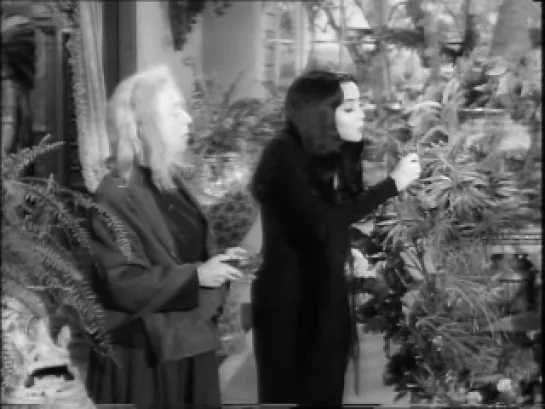 The Addams Family: [s02e27] Lurch's Little Helper