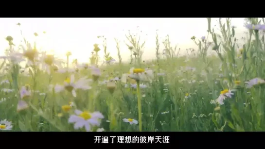 Ayanga 阿云嘎《芳华》MV