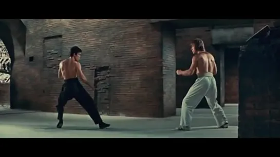 Bruce Lee vs Chuck Norris