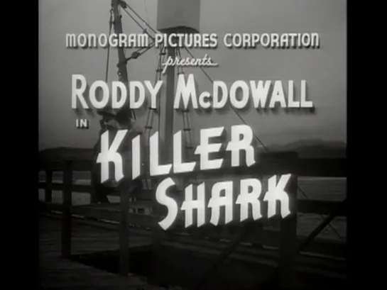 Killer Shark 1950 Roddy McDowall in english eng