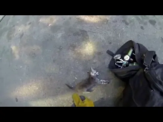 GoPro- Fireman Saves Kitten