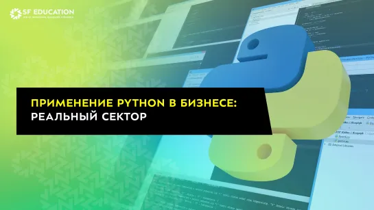 Применение Python в бизнесе: Реальный сектор.