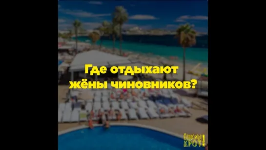 Где отдыхают жёны чиновников?