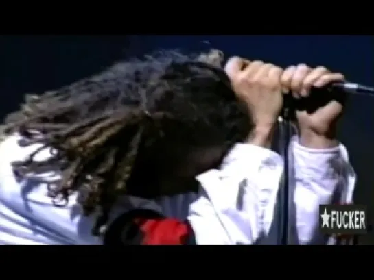 Rage Against The Machine - Live Woodstock (1999)..